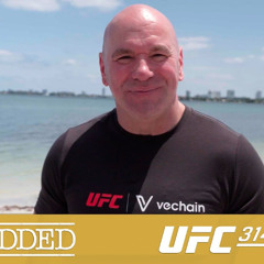 E5 UFC 314 Embedded (AMP'd) | #ufc #UFC314 #embedded