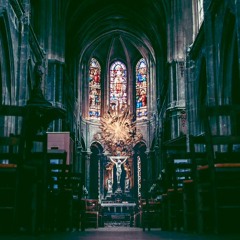 The Decision to Follow Christ