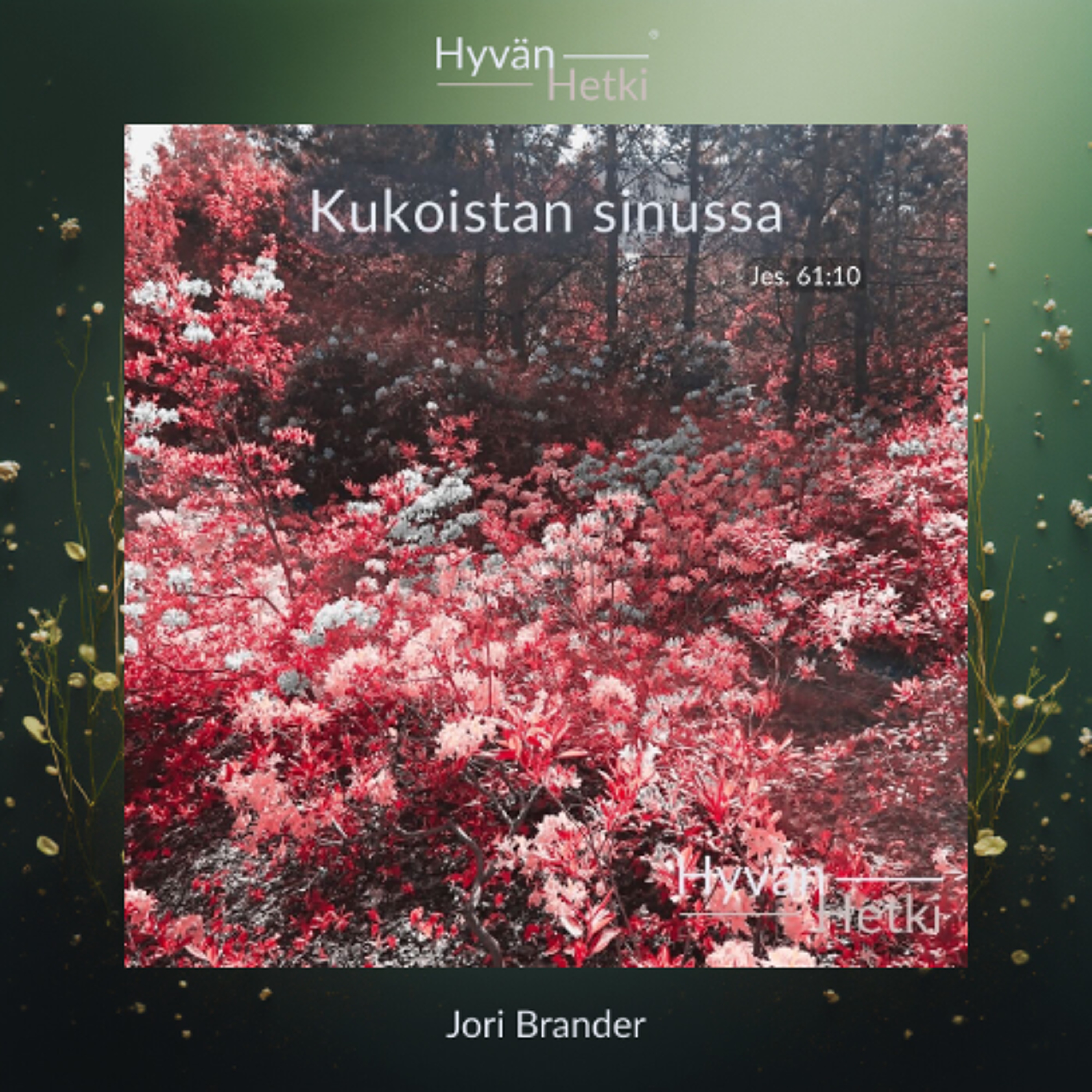 Kukoistan sinussa (04.01.2026)