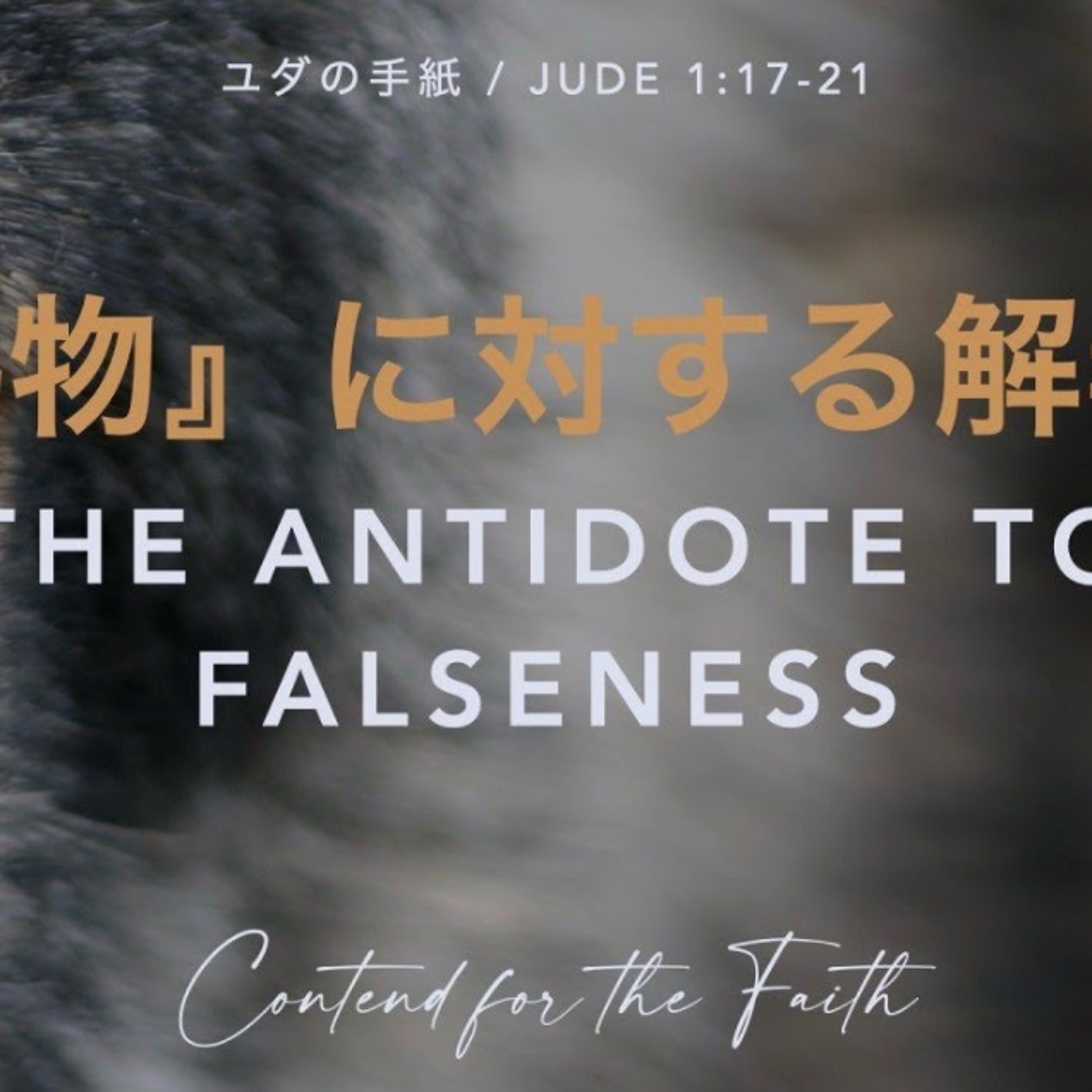 ユダの手紙 / Jude 1:17-21「偽物」に対する解毒剤 The Antidote to Falseness