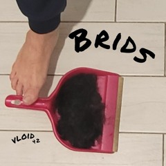 Brids