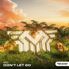 NSJ - Don't Let Go