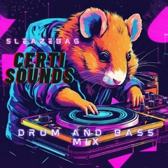 CERTI SOUNDS (DnB Mix)