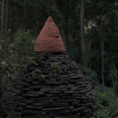 Trilha