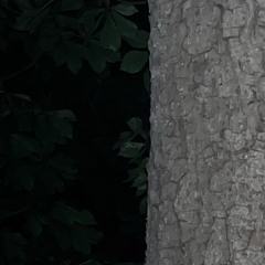 тіні по стінах знову лізуть вночі