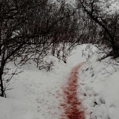 именно здесь