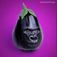 GOONING PLAYLIST.