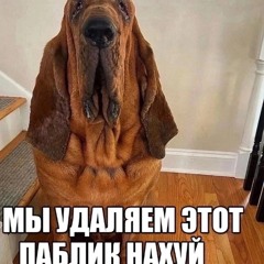 ды ды дым (trap)