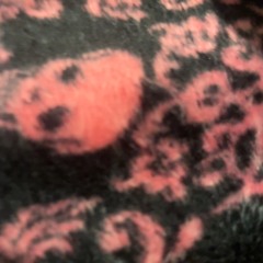 raise hell (prod. iggwrld)