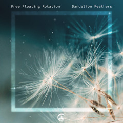 Dandelion Feathers
