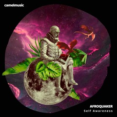 AfroQuaker - Self Awareness (Original Mix)