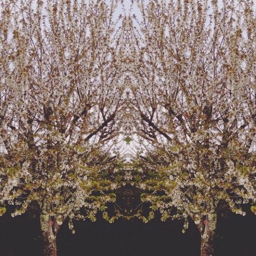Natural Feelings (Original Mix)