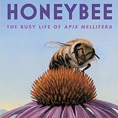 Pdf Read Honeybee: The Busy Life Of Apis Mellifera By  Candace Fleming (Author)