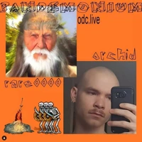 Soundcloud podcast image for Pandemonium : Orchid invite rare0000