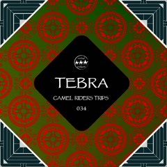 Camel Riders Trips 034 - Tebra