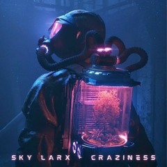 Sky Larx - Craziness