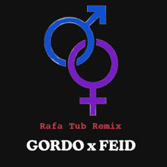 Gordo x Feid - Hombres y Mujeres (Rafa Tub remix)