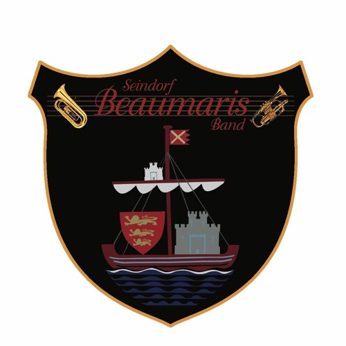 A Day In The Life Of A Knight - Seindorf Beaumaris - Welsh Area 2023