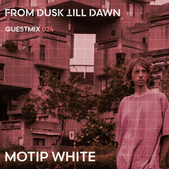 GUESTMIX 024 - MOTIP WHITE