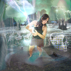 The Fountain - Catching Lightning / Forgetmenot