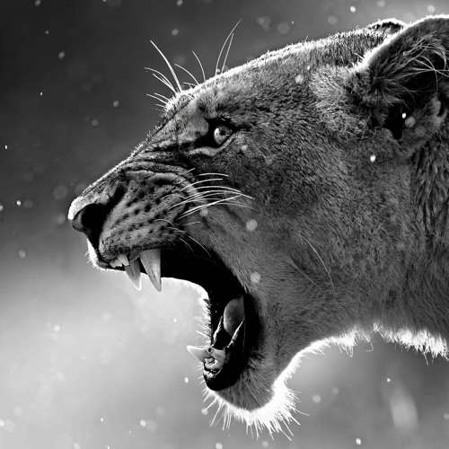 10Bucks/بیت دریل و هیپ هاپ