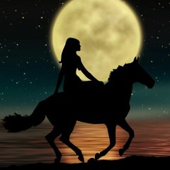 Moonlight - Passion Horse