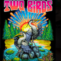 Get High Get Happy for TWO BIRDS ---- WIP