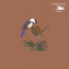 The Band From Northampton