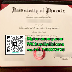 Is a University of Phoenix Fake Degree Worth It? The Truth Revealed