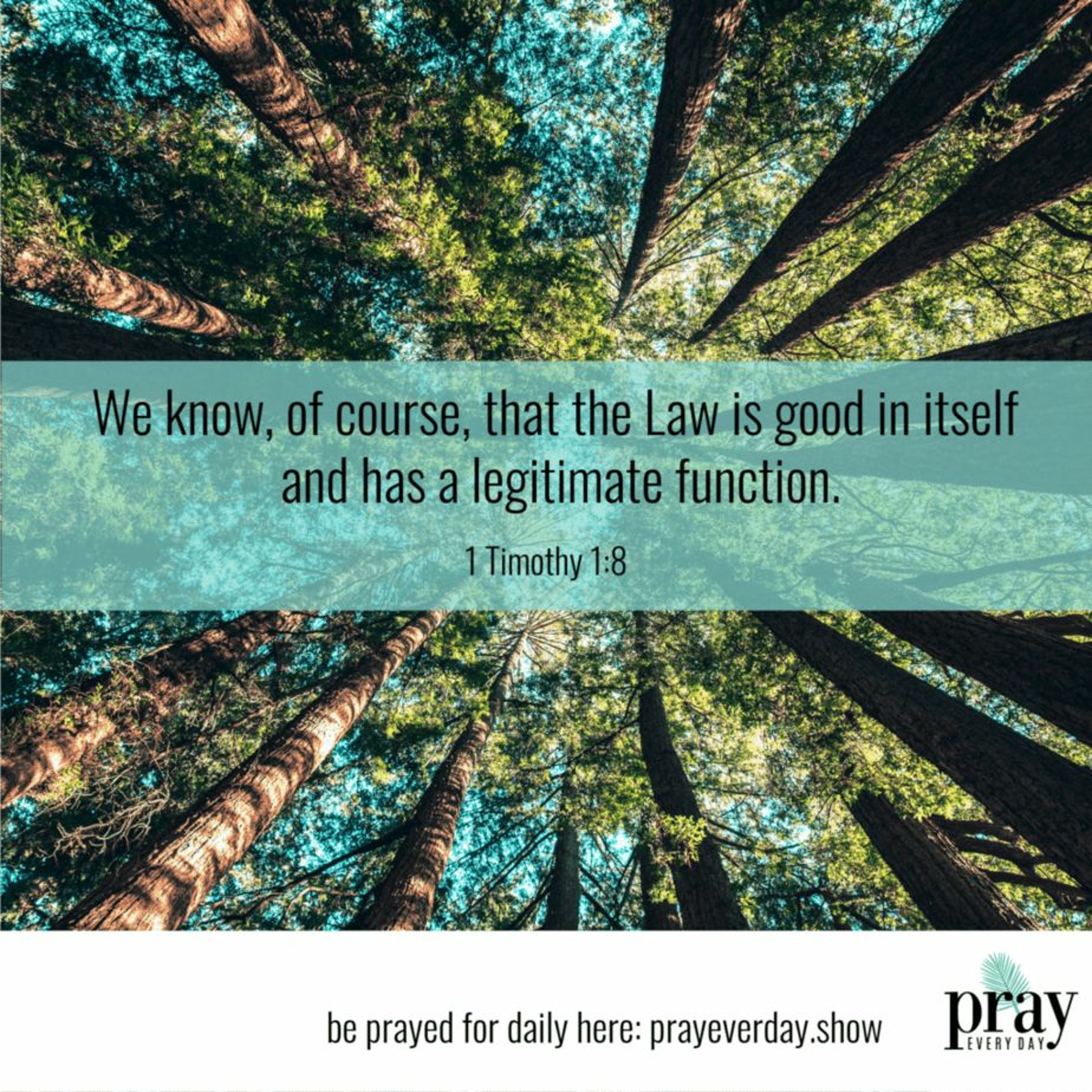 1 Timothy 1.8-11--The Proper Use of the  Law--RBC episode artwork