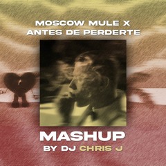 Moscow Mule x Antes de Perderte (Dj Chris J Mashup) - Bad bunny, Duki