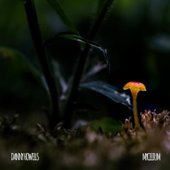 Free Download: Danny Howells - Mycelium