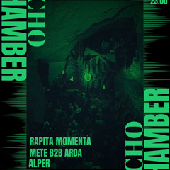 Alpergun - Echo Chamber