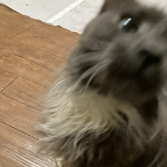 life jacket (half) - 5/26/24, 1.09 AM.m4a