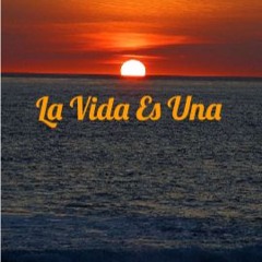 La Vida Es Una