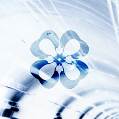 5-HT