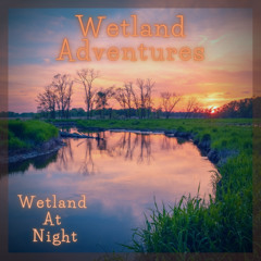 Wetland At Night (Seamless)