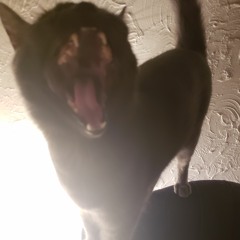 Capo Lee - Liff (Bogdan's Version)