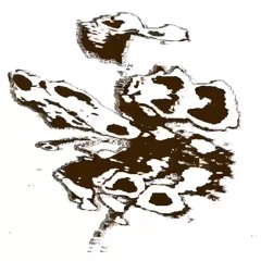 Ad Ren Aline (unfinished)