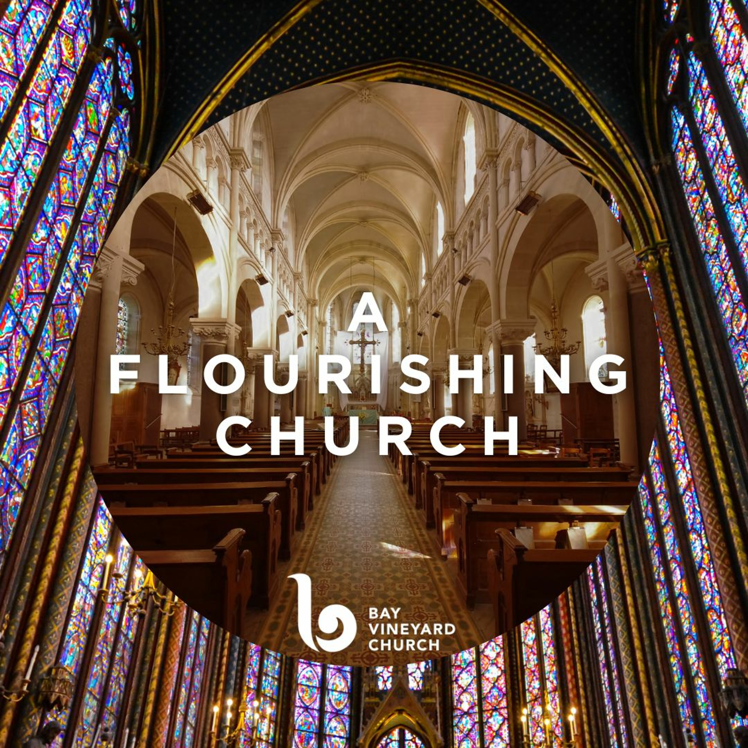 Sunday February 25th// Vision - A flourishing church episode artwork