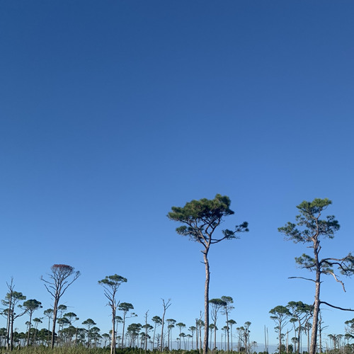 heylog - Iris (slowed  Reverb)