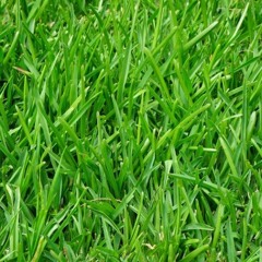 SO FUNKIE - Doublevie & Chema Frausto (Original Mix)