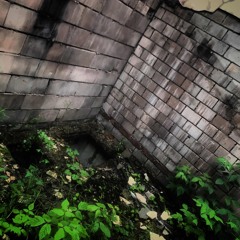 ~ambient/32
