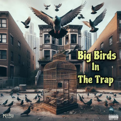 Big Birds In The Trap