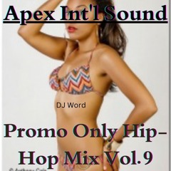 Hip Hop Promo Only Mix Vol.9