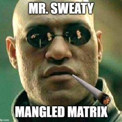 Mr. Sweaty - Mangled Matrix