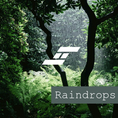 DJ Spyroof - Raindrops