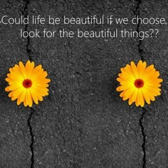 Who Can You BLAME? With Rowie McEvoy