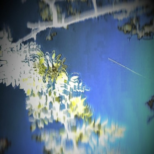 / Chill'd Beats