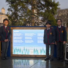 'Glow' by Coral Rumble: The Look North More Often Project 2025